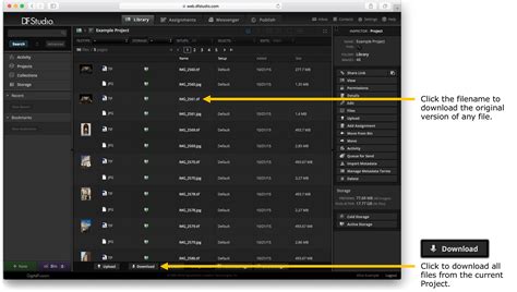Download individual release files .